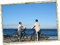 Bike and Kayak Tours, Inc. — La Jolla, CA image 5