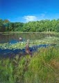 Blue Heron Park Nature Center logo