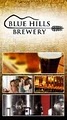 Blue Hills Brewery image 2
