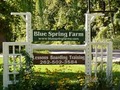 Blue Spring Farm image 10