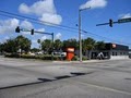 Bobcat of the Treasure Coast image 1