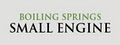 Boiling Springs Small Engine logo
