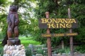 Bonanza King Resort logo