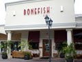 Bonefish Grill - Palm Beach Gardens logo