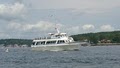 Boothbay Whale Watch image 3