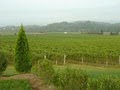 Breaux Estate Vineyards image 2