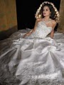 Bridal Elegance image 2