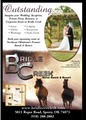 Bridle Creek Horse Ranch & Resort image 3