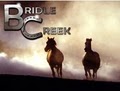 Bridle Creek Horse Ranch & Resort image 10