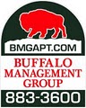 Buffalo Management Group image 1