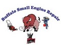 Buffalo Small Engine Repair image 1