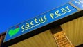 Cactus Pear image 2