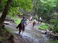 Cades Cove Riding Stables image 4