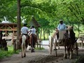 Cades Cove Riding Stables image 5