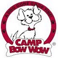 Camp Bow Wow San Antonio Dog Daycare & Boarding image 2