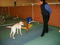 Canine Sports Complex Positive Pet Training image 3