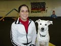 Canine Sports Complex Positive Pet Training image 4