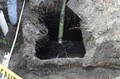 Canyon Septic Services - Septic Pumping image 1