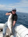 Cape and Islands Charters logo