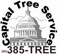 Capital Tree Service logo