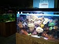 Capitol Aquarium image 4