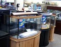 Capitol Aquarium image 7