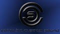 Carolina Custom Sound logo