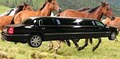 Celebrity Limo And Bus Charters image 4