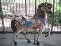 Central Park Carousel Central Park image 3
