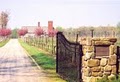Chamard Vineyards image 3