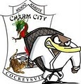 Charm City Karate & Life Skills image 3