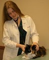 Chastain Animal Clinic image 5