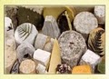 Cheese Co image 1