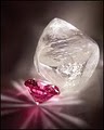 Chicago Diamond Experts, Inc. image 4