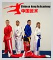 Chinese Kung Fu Academy image 2