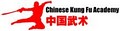 Chinese Kung Fu Academy image 4