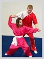 Chinese Kung Fu Academy image 1