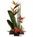 Citi Floral Inc image 3