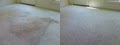 Citrusolution Natural Carpet Cleaning image 3