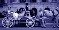 Classic Carriages image 3