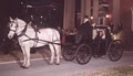 Classic Carriages image 7