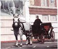 Classic Carriages image 9