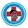 Clearwater Marine Aquarium Inc image 4