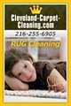 Cleveland Carpet and Upholstery Cleaning image 4