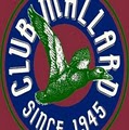 Club Mallard image 4