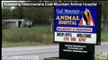 Coal Mountain Animal Hospital logo