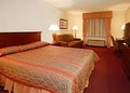 Comfort Inn Airport image 4