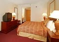 Comfort Inn Airport image 9