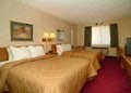 Comfort Inn-Montrose image 5