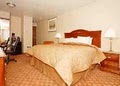 Comfort Inn Newport Hotel image 8